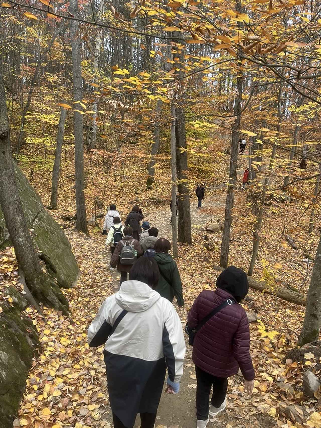 画像: ミニハイキングの様子（弊社スタッフ撮影）