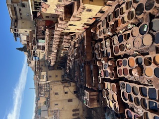 画像: タンネリ（弊社スタッフ撮影）