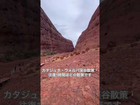 画像: 【オーストラリア】ウルル＝カタジュタ国立公園の麓を散策してきました www.youtube.com