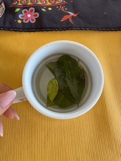 画像: （コカ茶/添乗員撮影）