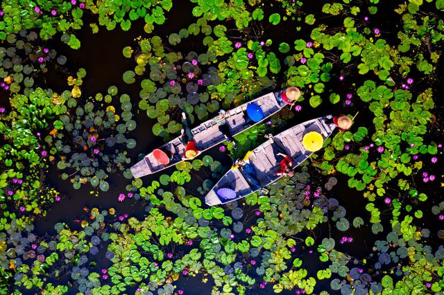 画像: レッドロータス水上マーケット(写真提供:タイ国政府観光庁)