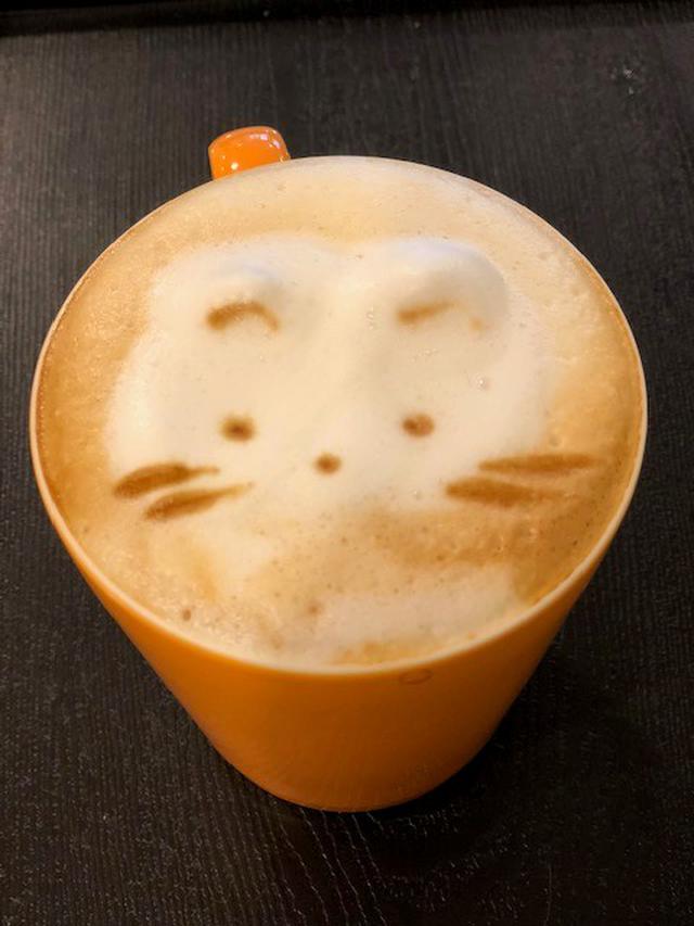 画像: 猫のコーヒー/水野撮影