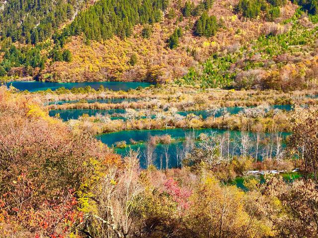 画像: 九寨溝・樹正群海(イメージ 弊社スタッフ撮影)