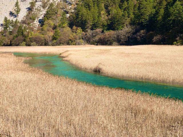 画像: 九寨溝・蘆葦海(イメージ 弊社スタッフ撮影)