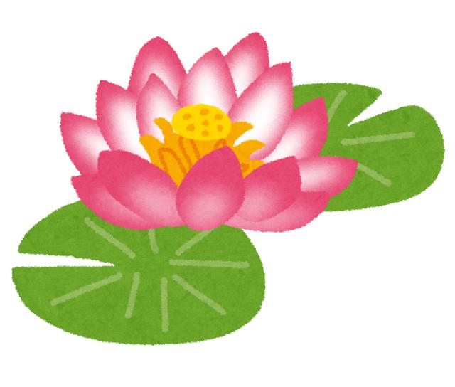 画像3: 花カレンダー2021 <1月>
『紅い睡蓮ータイの花風景』
【好奇心で旅する海外】<花咲くワールド>