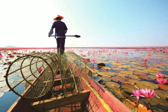 画像: 写真提供:タイ国政府観光庁(イメージ)