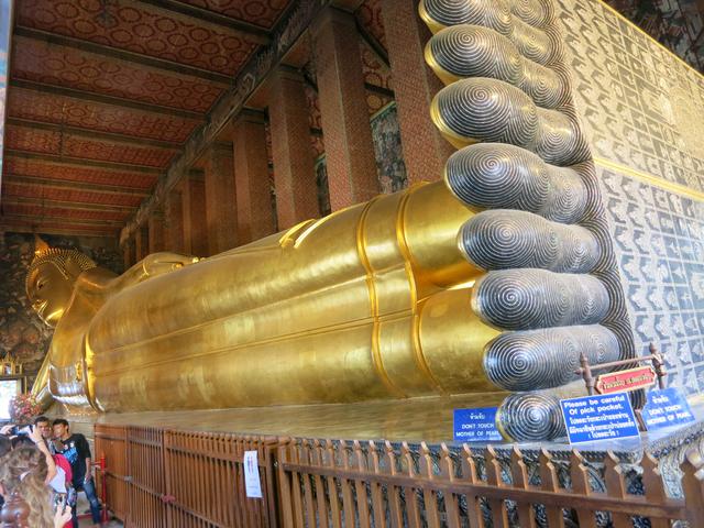 画像: 長さ46m×高さ15m!と見る者を圧巻する大きさです。全身金箔でおおわれています。