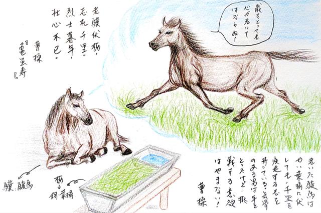 画像: 老いた駿馬は飼い葉桶に伏すとも、志が千里にある ~老驥伏櫪、志在千里