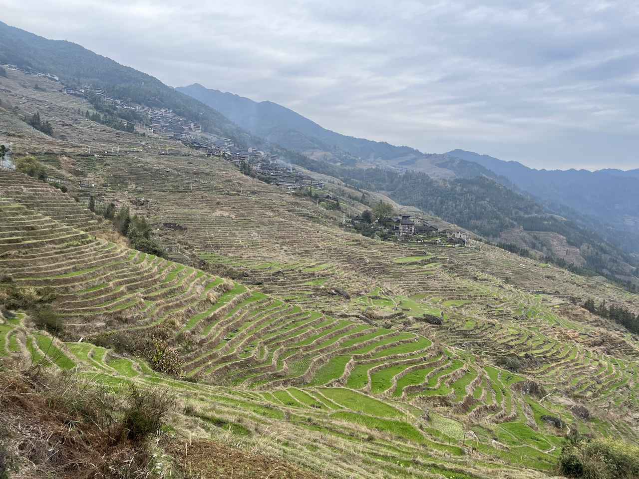 画像: 龍勝棚田（2025年3月弊社スタッフ撮影）