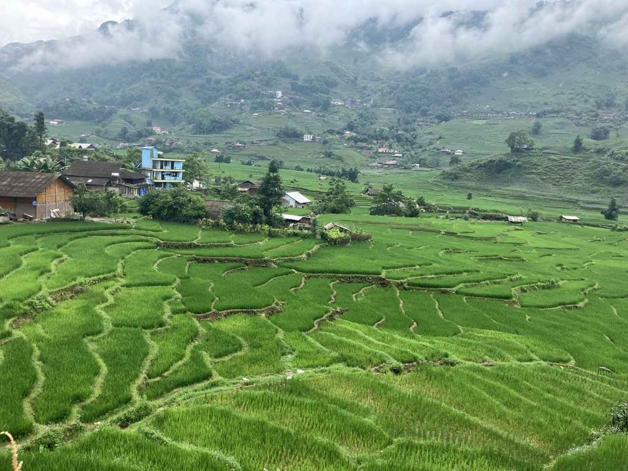 画像: 棚田の景色（スタッフ撮影）