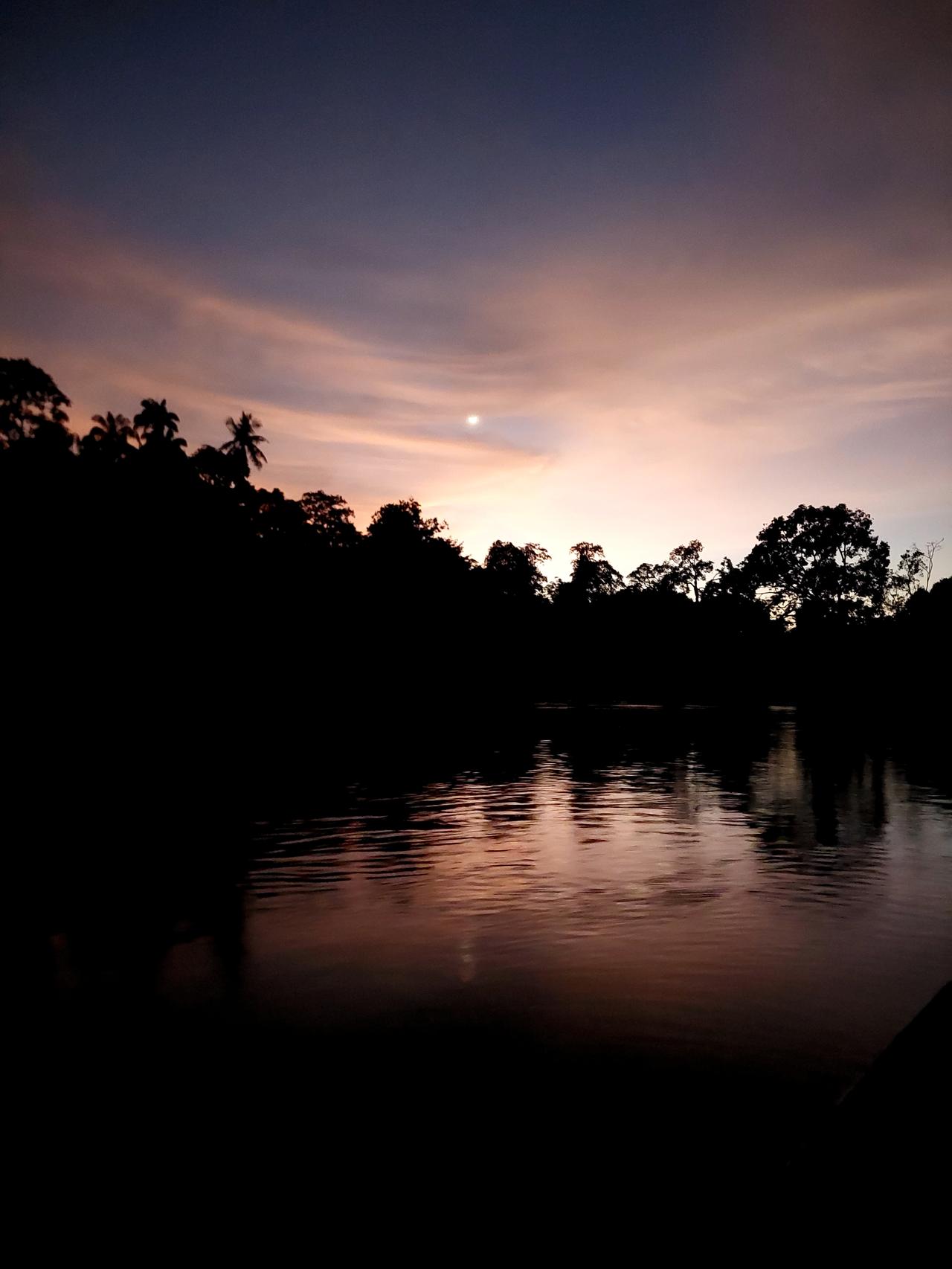 画像: ナイトクルーズの様子。運が良ければワニを見つけれられるかも、、（イメージ）/弊社スタッフ撮影