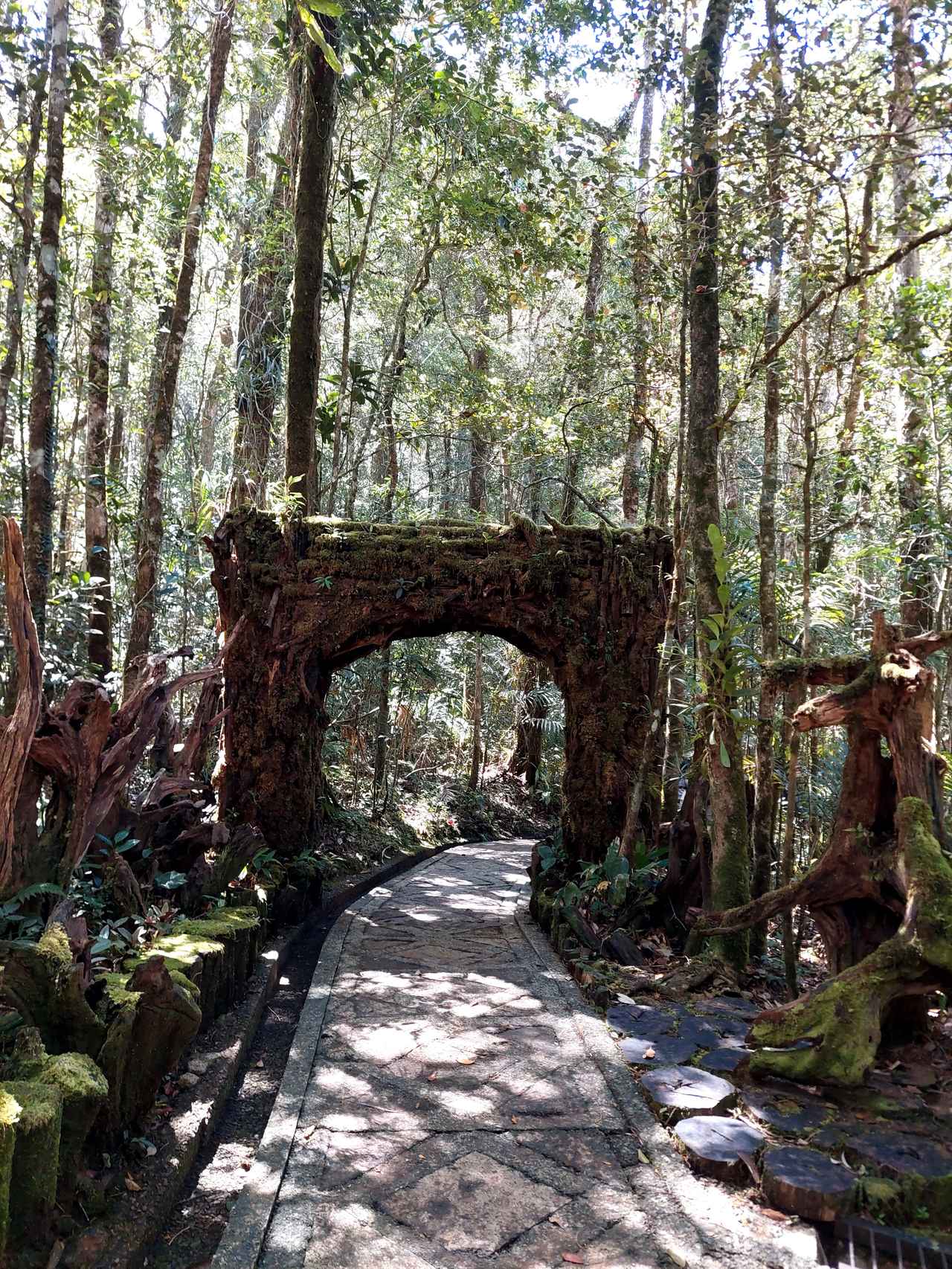 画像: キナバル自然公園／（イメージ）/弊社スタッフ撮影