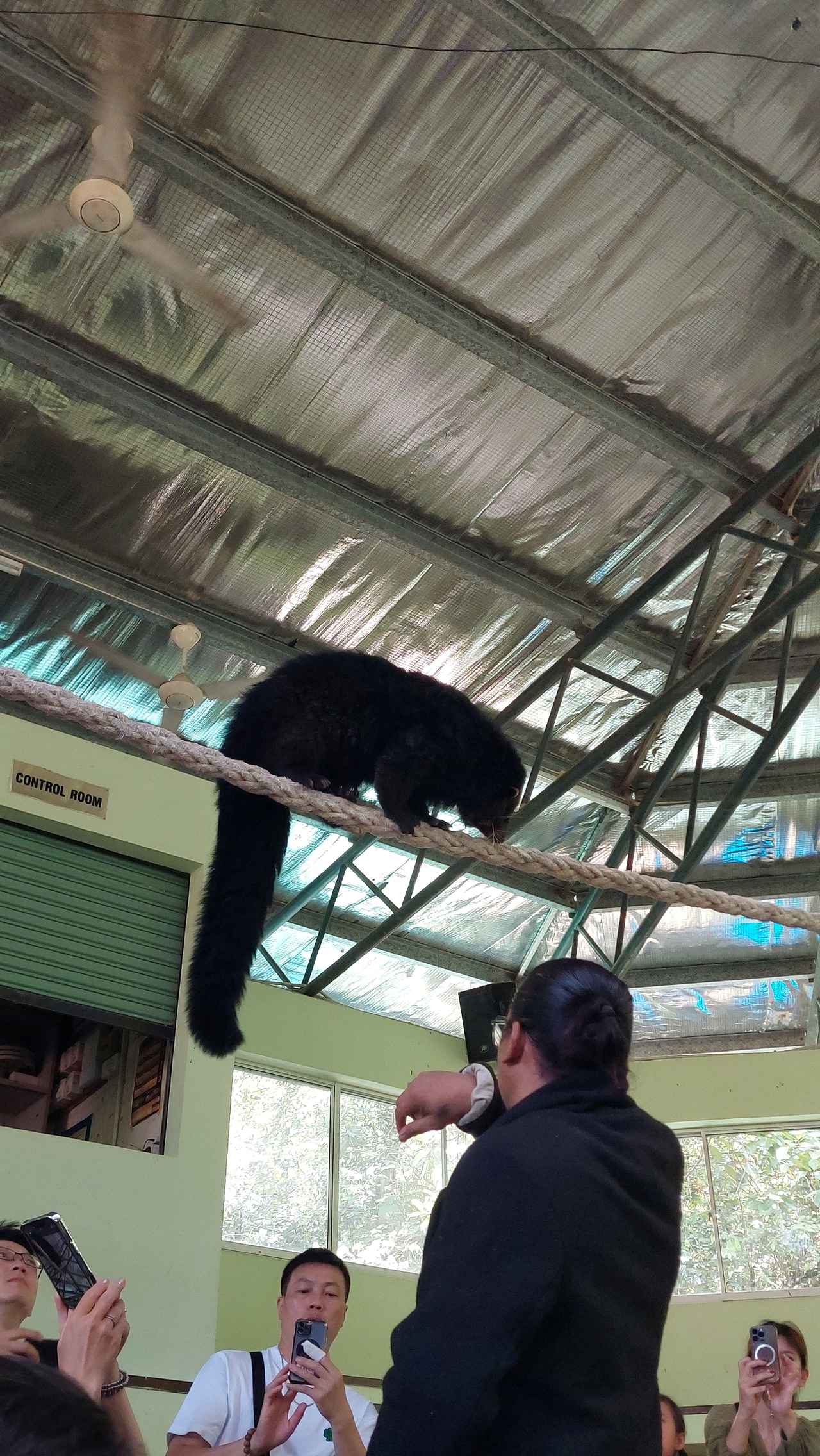 画像: ショーの様子（イメージ）/弊社スタッフ撮影
