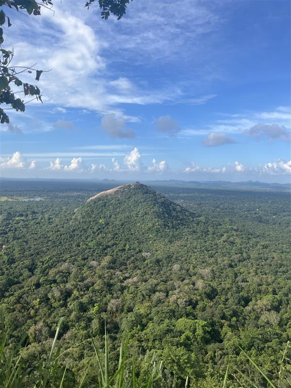 画像: 【世界遺産】シギリヤロック頂上からみたジャングル（イメージ）/弊社スタッフ撮影