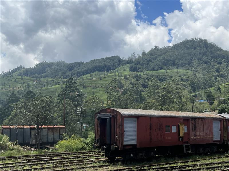 画像: 紅茶列車内から眺める茶畑風景（イメージ）/弊社スタッフ撮影