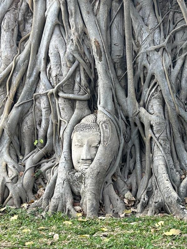 画像: ワット・マハタート／添乗員撮影