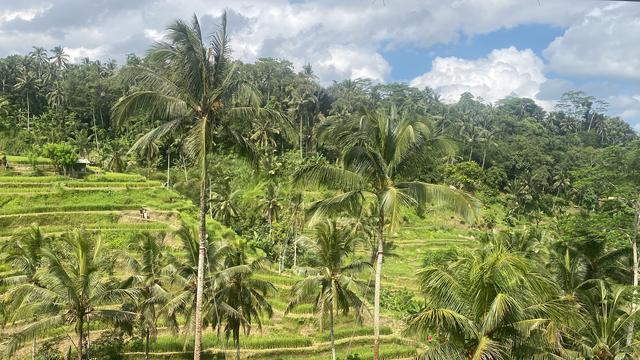 インドネシア・バリ島】バリ島の文化に触れる！定番スポットをご紹介