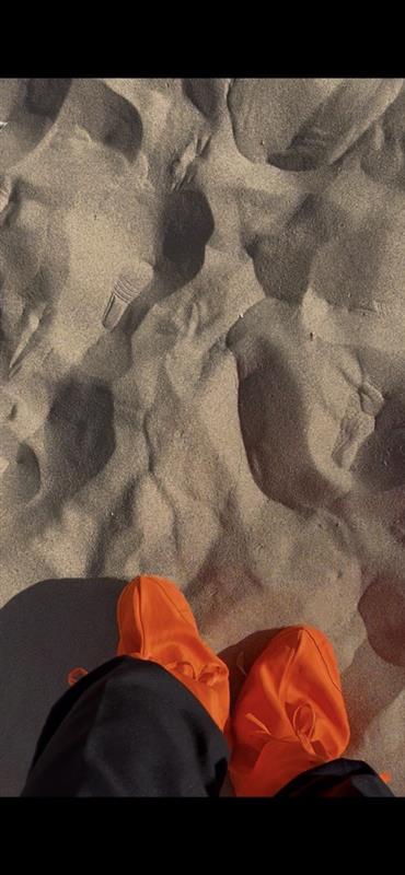 画像: レンタルの砂除け/添乗員撮影