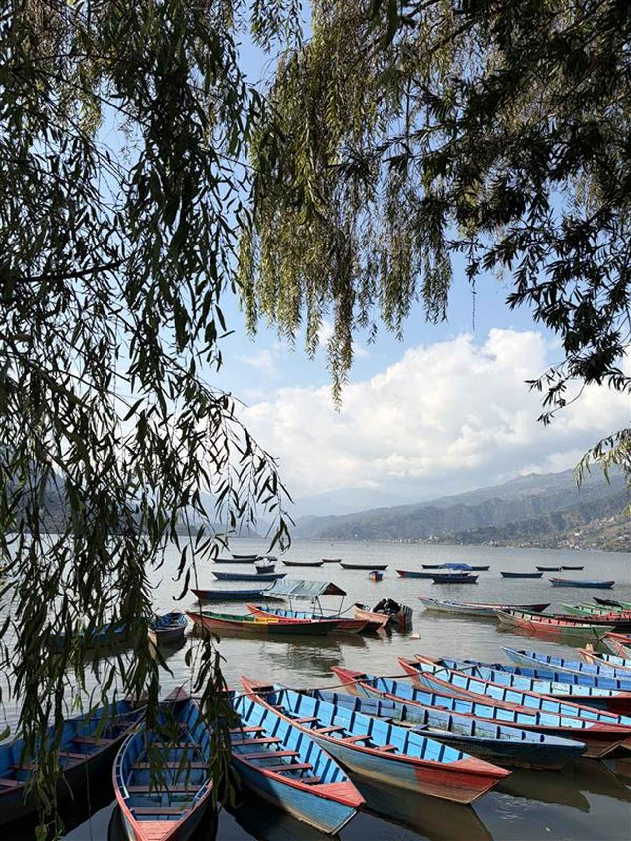 画像: ぺワ湖（弊社スタッフ撮影）