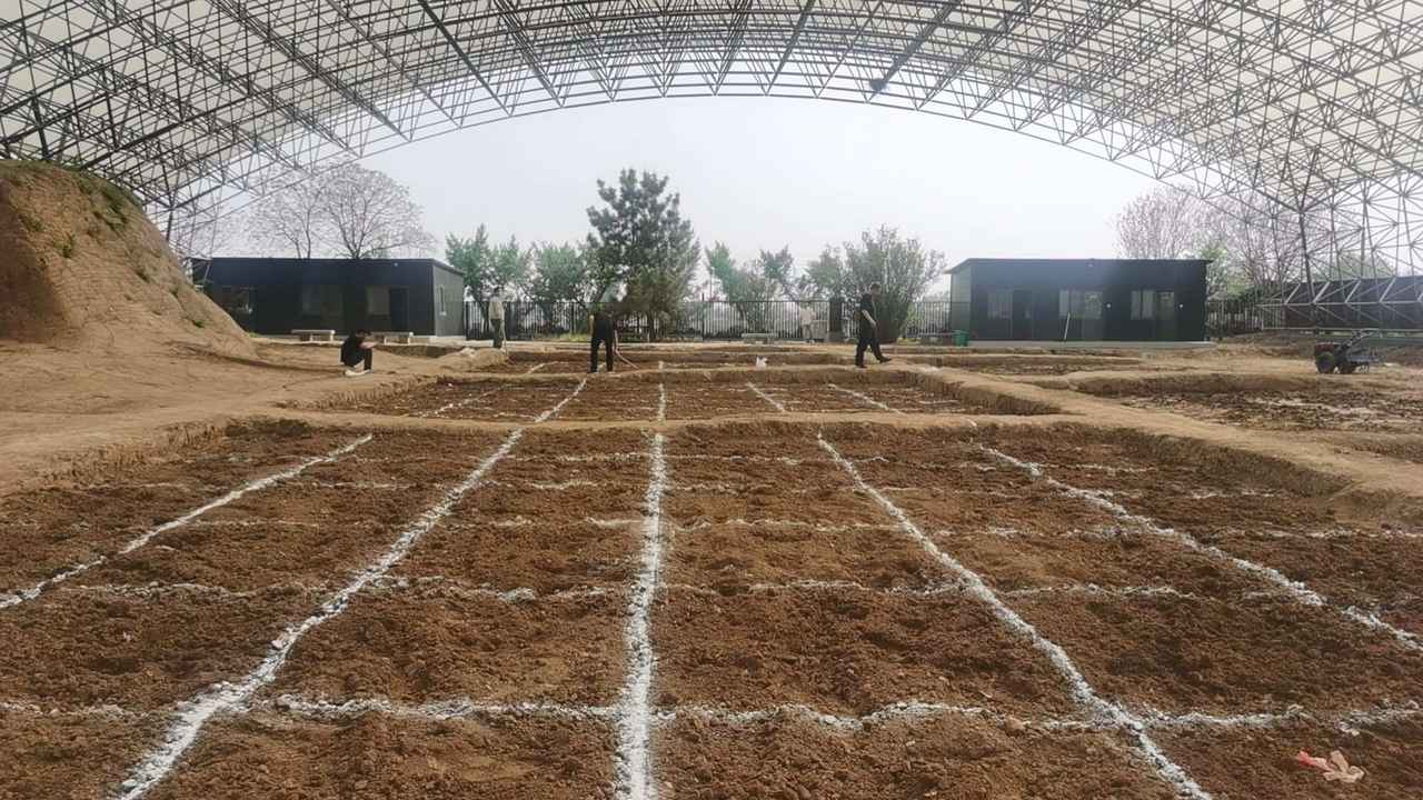 画像: <中国五千年倶楽部>『ANAビジネスクラス利用(羽田~青島間)孔子の教えと梁山泊の魂に触れる山東省の歴史と文化を辿る 5日間』|クラブツーリズム