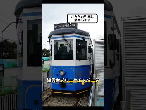 画像: 【韓国南部】カフェ巡りから癒しの自然スポットまで全部がときめく✨ youtube.com