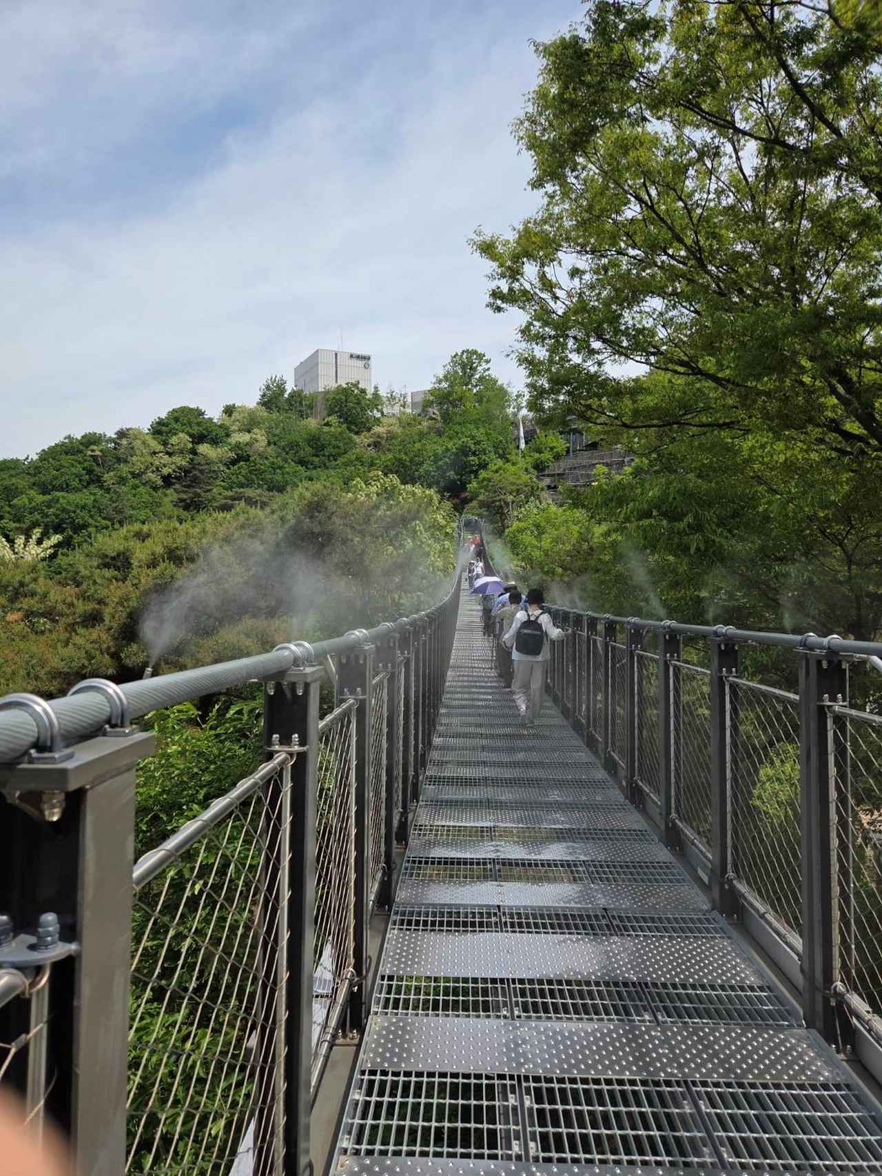 画像: 吊り橋の様子（弊社スタッフ撮影）