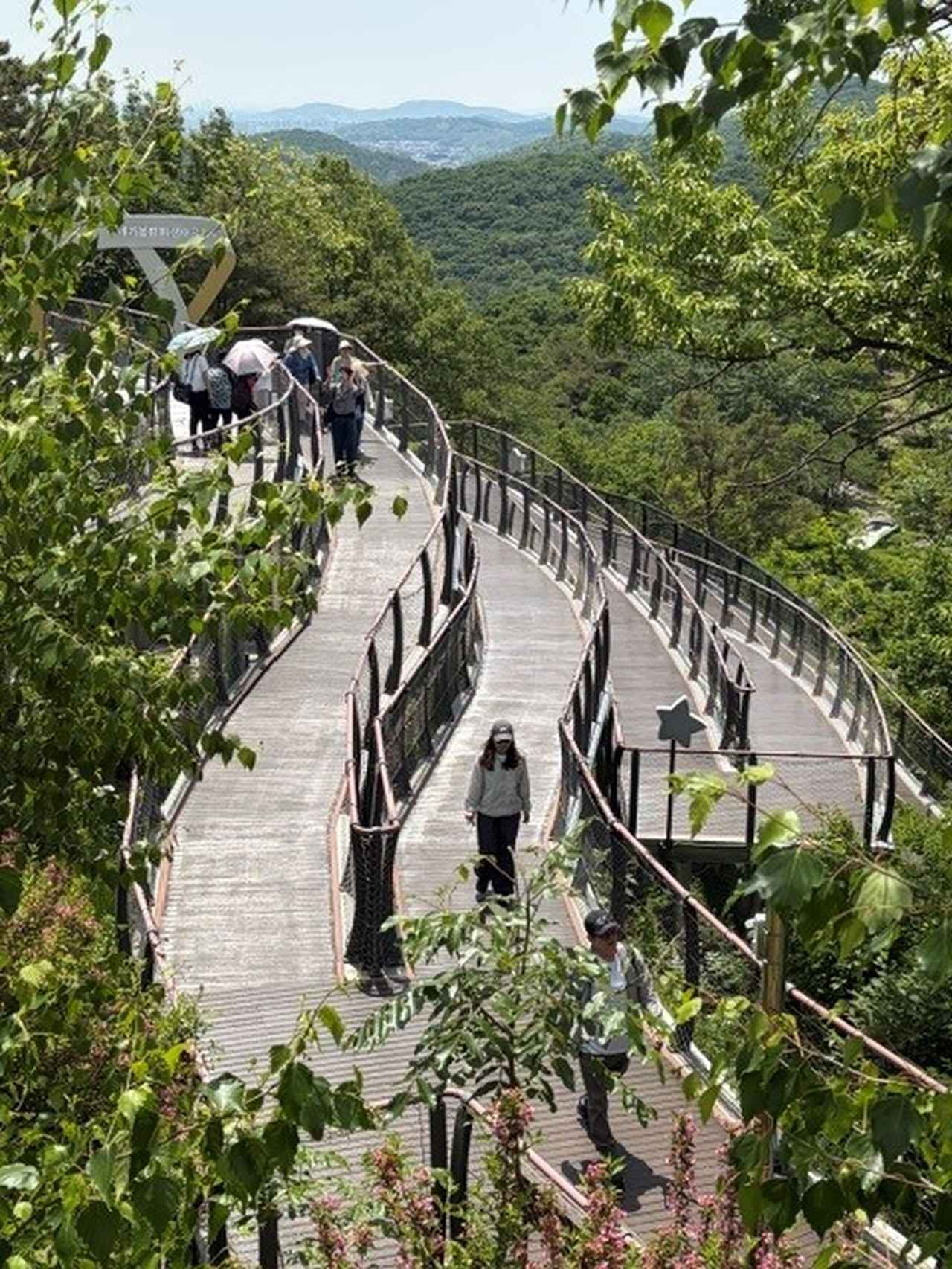 画像: ジグザクの遊歩道（弊社スタッフ撮影）