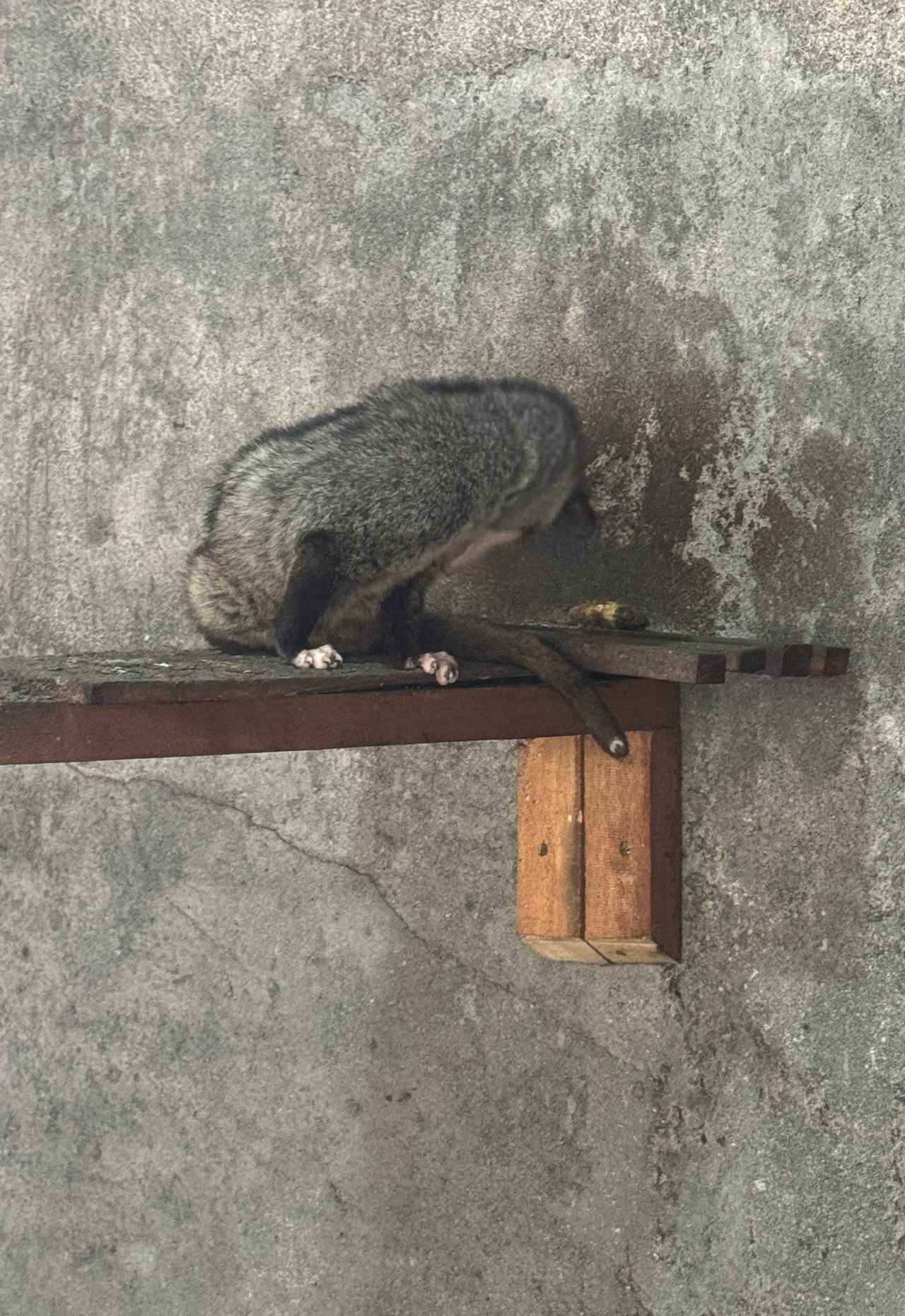 画像4: 弊社社員撮影