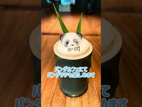 画像: 【中国】かわいいパンダに癒されるパンダ尽くしの旅 www.youtube.com