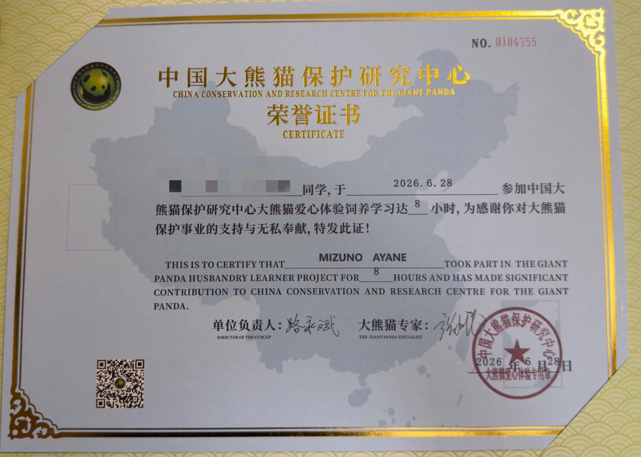 画像: 修了証明書（弊社スタッフ撮影／2026年6月）