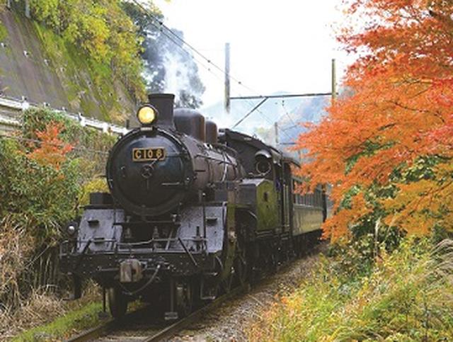 画像: 大井川鐵道SL(イメージ)