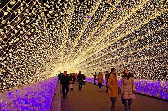 画像: ★なばなの里(お客様写真/篠原耕治様:東京都在住)
