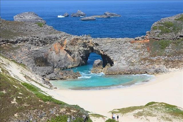 画像: 父島ブルー(お客様写真/上原頼興様・東京都在住)