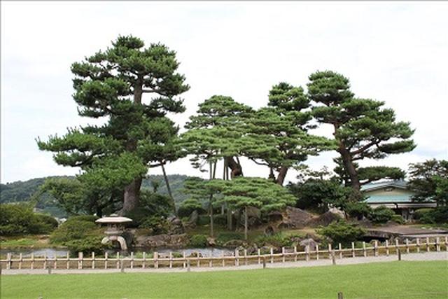 画像: 兼六園(お客様写真/植竹外志子様:神奈川県在住)