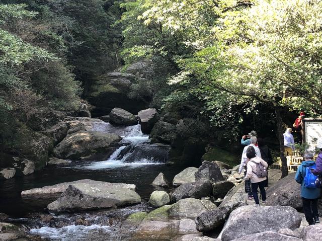 画像: 白谷雲水峡/猪田撮影