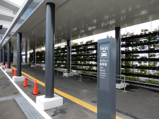 画像: 東京国際クルーズターミナル タクシー乗降場(弊社スタッフ撮影)