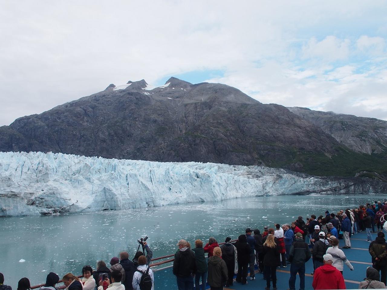 画像: グレイシャー・ベイ国立公園(添乗員撮影)
