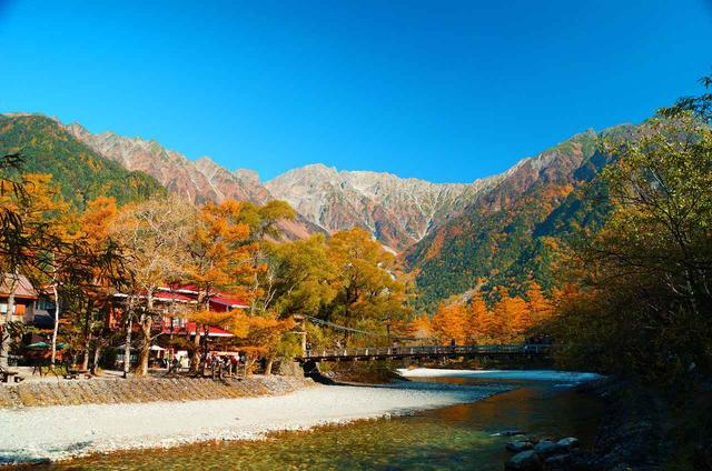 画像: 晩秋の河童橋 例年の見頃:10月中旬~下旬