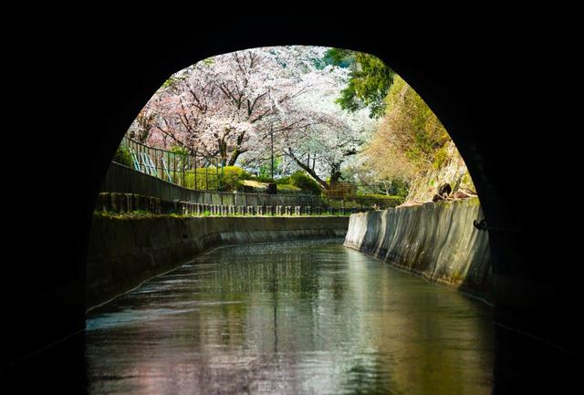 画像: 船から見た景色