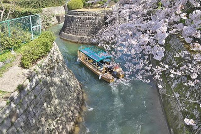 画像: 乗船人数わずか12名の船でしか通れない水路へご案内