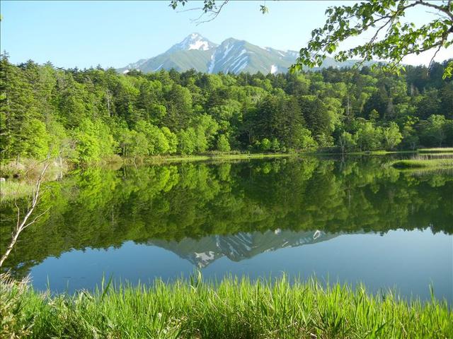 画像: ★お客様作品です 安田 孝子様:兵庫県在住