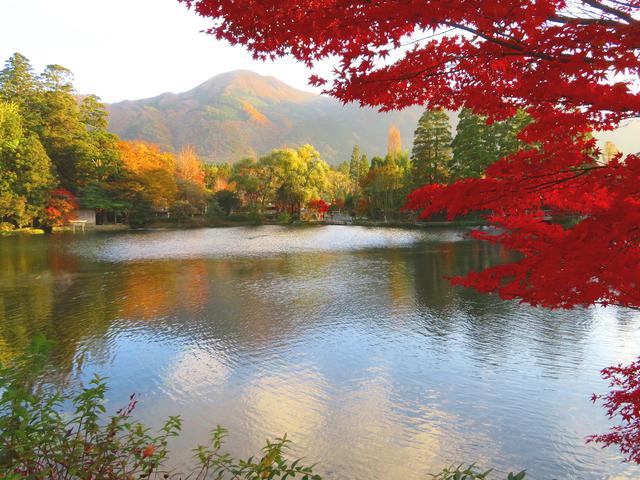 画像: お客様作品:羽賀 道行様(東京都在住) 紅葉の金鱗湖