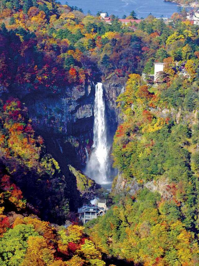 画像: 華厳の滝と紅葉/イメージ