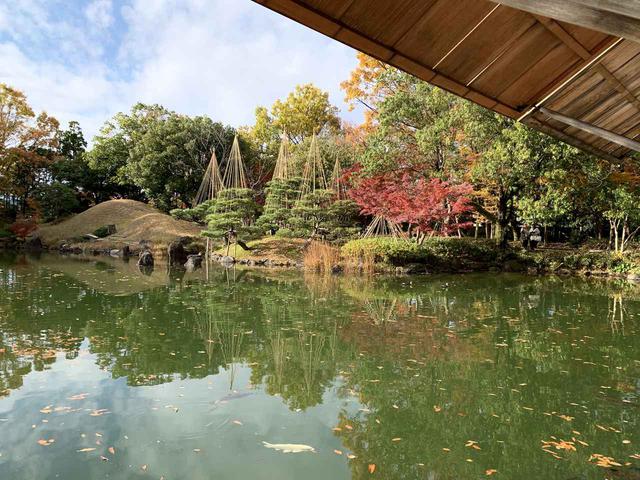 画像: 2019紅葉 養浩館(イメージ) 添乗員撮影