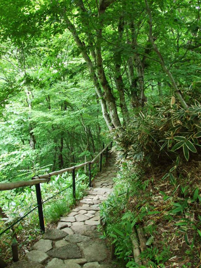画像: 故・鈴木政夫(彫刻家)命名の散策路・ふれあいの道(イメージ)