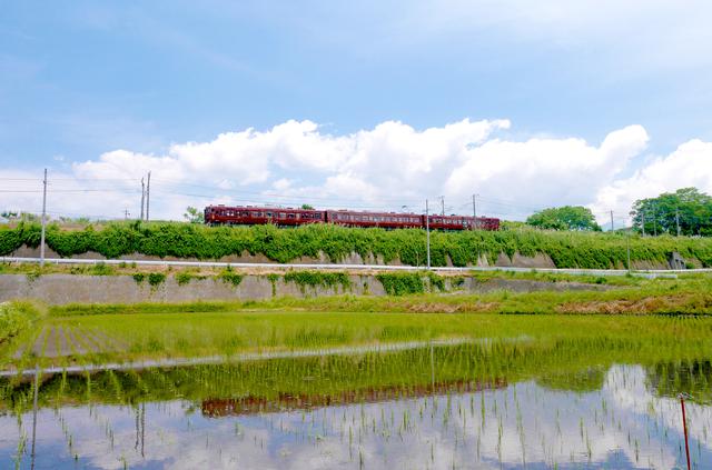 画像: 夏の田園をかけるろくもん