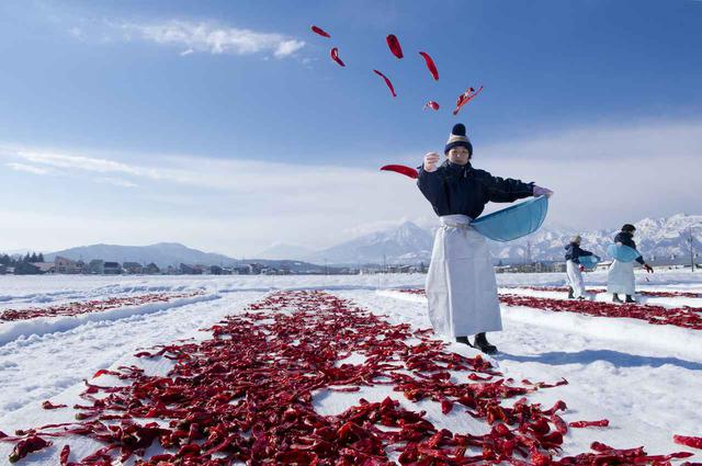 画像: 新井のかんずり雪さらし