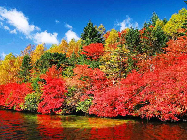 画像: 四季の華 秋の紅葉ツアー・旅行【関東発】│クラブツーリズム