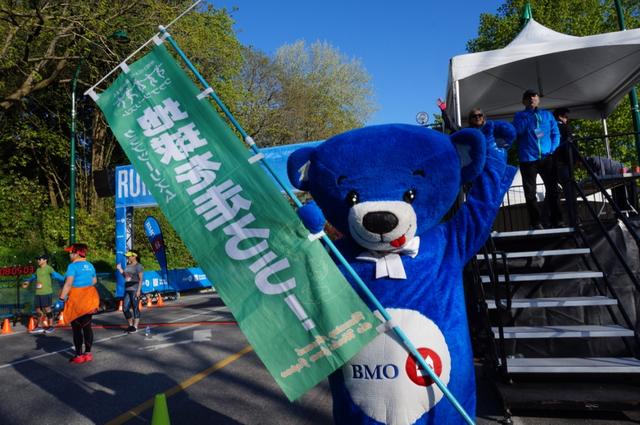 画像16: いよいよマラソン当日!フル・ハーフのスタートはビクトリアパーク
