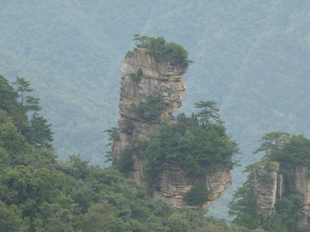 画像: 天子山からみることができる景色